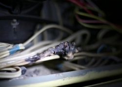 Из-за короткого замыкания произошло задымление в приемной главы Кисловодска