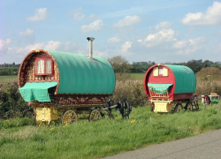 Годовалого мальчика вернули от белорусских цыган ставропольской матери