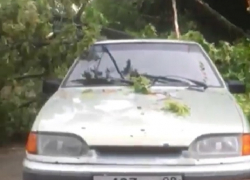 Сильный ветер с дождем обрушили дерево прямо на автомобиль в Пятигорске 