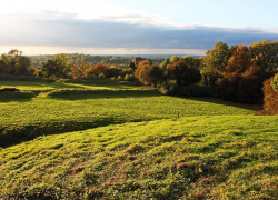 Руководитель теруправления Росимущества Ставрополья незаконно приватизировал сельхозугодья