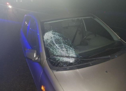 Сразу две машины насмерть задавили пешехода под Ставрополем 