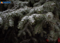 До 17 апреля продлятся ночные заморозки на Ставрополье