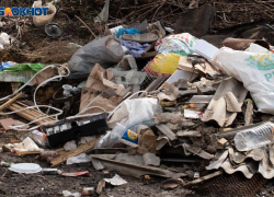 Удар по экологии Ставрополя на 6,5 миллиона рублей нанесла незаконная свалка