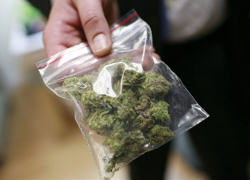 На Ставрополье мужчина занимался сбытом марихуаны в особо крупном размере