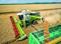 «Остальным не нужно»: 222 миллиона рублей направят ставропольским растениеводам из-за высоких цен на топливо 