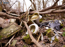 На 53 месте оказалось Ставрополье в экологическом рейтинге российских регионов