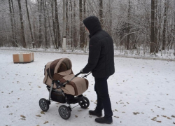 В колонию строгого режима отправят похитителя детских колясок в Ставрополе
