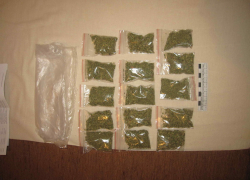 Более килограмма марихуаны найдено в автомобиле при досмотре в Буденновске