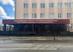 Уголовное дело возбудили следователи после нападения собак на подростка в Минеральных Водах