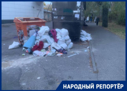 Заваленный мусором вход в 18 школу Ставрополя должны убрать 20 октября