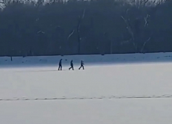 Ставропольчан шокировали кадры прогулки детей по хрупкому льду озера в Ессентуках