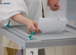 Основатель издательского холдинга и аппаратчик с «Еврохима»: еще два ставропольца метят в Госдуму