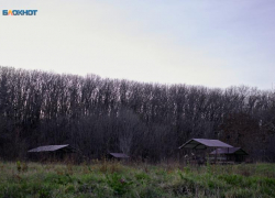 В леса Ставрополья временно ограничили доступ из-за пожароопасной обстановки