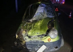 Лошадь пробила лобовое стекло машины с людьми на Ставрополье