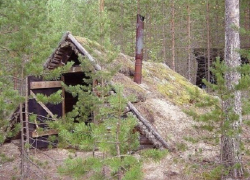 Находившийся в федеральном розыске мужчина прятался в вырытой в лесу землянке на Ставрополье