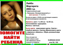 Пропавшую в МинВодах 11-летнюю девочку ищет авиаотряд