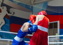 Всем бокс: в станице Суворовская прошли первые региональные турниры в новом году 