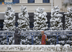 Жители Ставрополя просят перевести детей на дистанционное обучение из-за бушующего снегопада