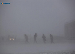 Штормовое предупреждение из-за ураганного ветра объявили на Ставрополье