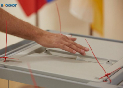 «Старичок» и новобранцы: на кресло в Думе РФ претендуют еще пять представителей Ставрополья