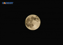 Завораживающими кадрами «Бобровой луны» в вечернем небе поделились жители Ставрополя