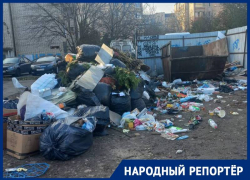 Бездействием «Эко-сити» возмутился житель Ставрополя