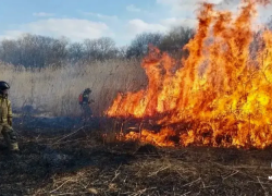 Камыш на площади 5 гектаров горит в Ставрополе: видео