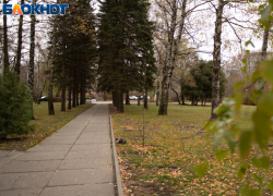 Очередные капризы погоды пообещали 26 ноября в Ставропольском крае 