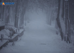 В минус не уйдем: какая погода ожидается на Ставрополье с 20 января