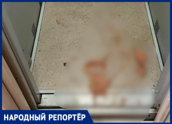 Фекалии в подъезде надоели жителям многоквартирного дома в Ставрополе 