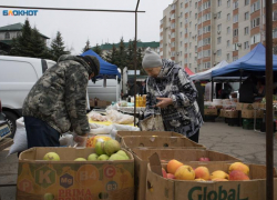 Дешевели огурцы и дорожала морковь на прошлой неделе на Ставрополье