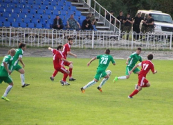 Бурый медведь Тима, который откроет ЧМ-2018, порепетировал на игре местного масштаба в Пятигорске