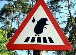 Новые дорожные знаки появятся на дорогах Ставрополья