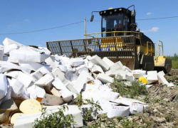 На Ставрополье уничтожили 40 килограммов санкционного сыра