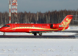 Самолет, летевший из Саранска в Минводы, подал сигнал о чрезвычайной ситуации