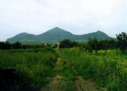 На дороге в сторону "Бештау" нашли скелет мужчины на дереве