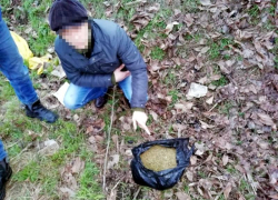 Ставропольчанин «случайно» сорвал 2 килограмма конопли на окраине города