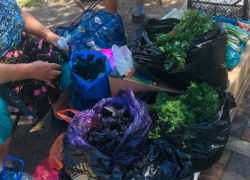 Более 2,3 миллиона рублей штрафов получили торговцы на стихийных рынках в Ставрополе 