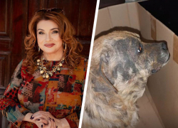 «Я потеряла покой»: ведущая «Битвы экстрасенсов» рассказала о судьбе найденной ею собаки на Ставрополье