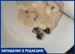 Кору вместо сгущенки обнаружила в мороженом жительница Ставрополя