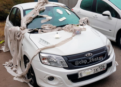 Необычная стилизация авто удивила горожан в Ставрополе