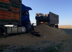 Водитель грузовика с курами погиб в страшном столкновении с КамАЗом на Ставрополье 