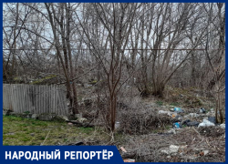 Из парка в свалку: жительница Ставрополья поделилась фото с кучами мусора в центре поселка