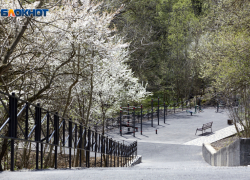 Дожди, сильный ветер и заметное похолодание грядут на Ставрополье в начале следующей недели