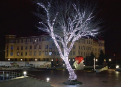 Центр Ставрополя усадят светодиодными деревьями за 64 миллиона рублей