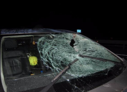 Женщина насмерть сбила пешехода на ставропольской трассе