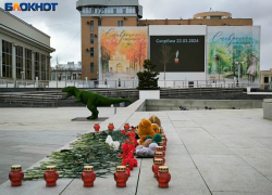 Игрушки и цветы у мемориалов, очередь доноров: как Ставрополье отреагировало на теракт в Подмосковье