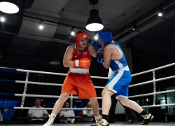 Ставропольские боксеры собрали урожай наград в Невинномысске, Элисте и Санкт-Петербурге