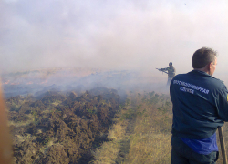 Пожар уничтожил 30 гектаров полей проса
