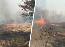В Ставрополе на улице Серова вблизи домов горит поле